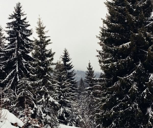 Unterwegs im winterlichen Ahrntal